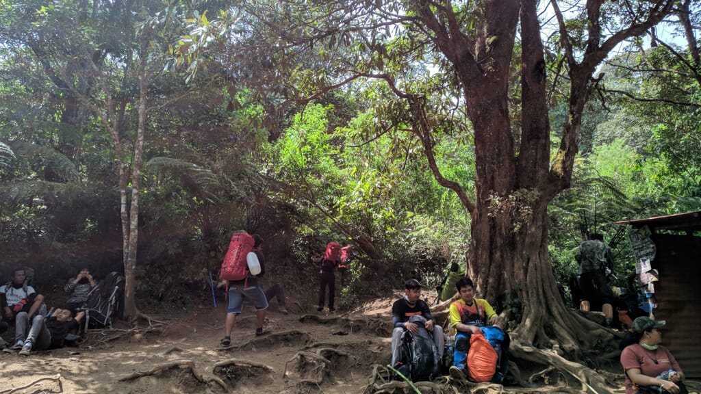 Pendakian Gunung  Lawu  Via  Candi  Cetho  Menghormati Alam 