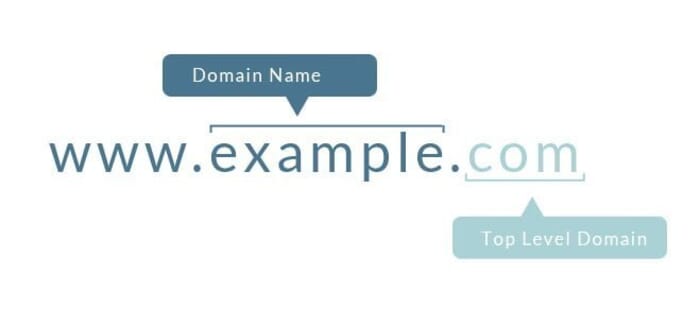 Contoh domain name dan top level domain